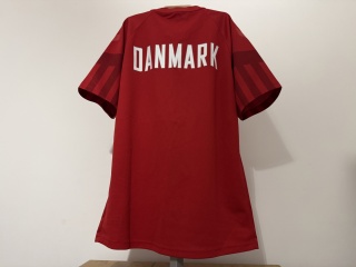 KOSZULKA Dania (reprezentacja) 2022 World Cup Hummel M