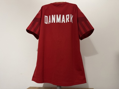 KOSZULKA Dania (reprezentacja) 2022 World Cup Hummel M