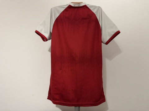 KOSZULKA Dania (reprezentacja) 2020 home Hummel 164