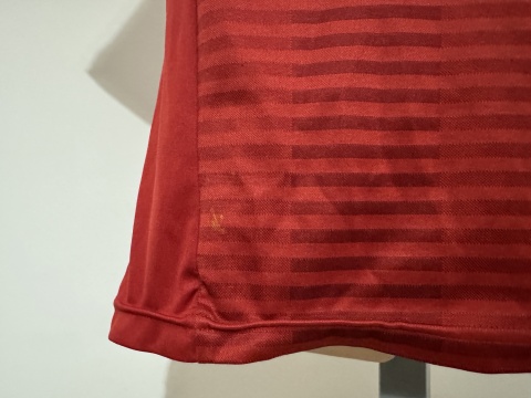 KOSZULKA Dania (reprezentacja) 2014 home Adidas 140