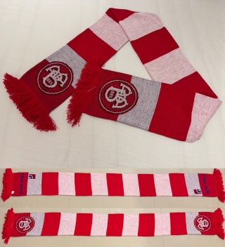 SZAL Aalborg BK (Dania) pasiak