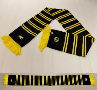 SZAL Borussia Dortmund (Niemcy) pasiak