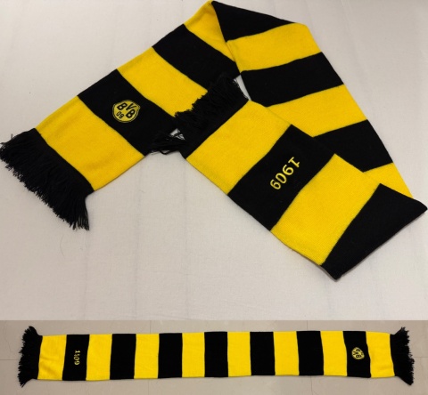 SZAL Borussia Dortmund (Niemcy) pasiak