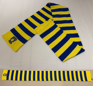 SZAL Brondby IF (Dania) pasiak