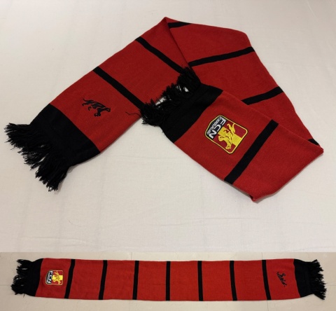 SZAL FC Nordsjaelland (Dania) pasiak