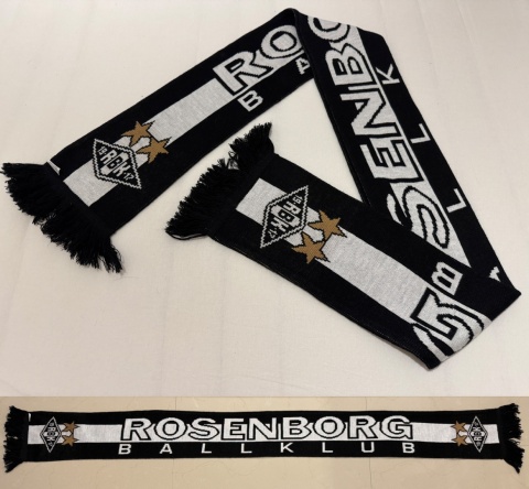 SZAL Rosenborg BK (Norwegia)