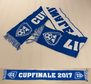 SZAL Sarpsborg 08 (Norwegia) Cupfinale 2017