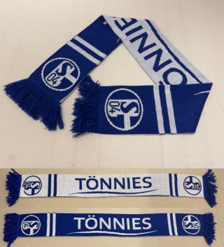 SZAL Schalke 04 Gelsenkirchen (Niemcy) "Tonnies"
