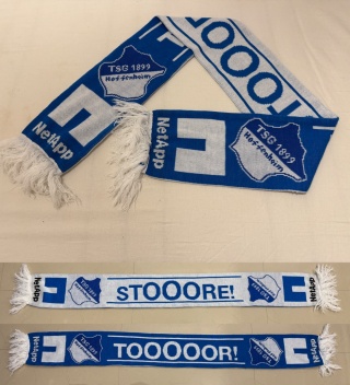 SZAL TSG 1899 Hoffenheim (Niemcy)