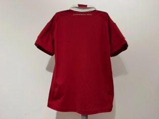 KOSZULKA Dania (reprezentacja) 2010 home Adidas 152