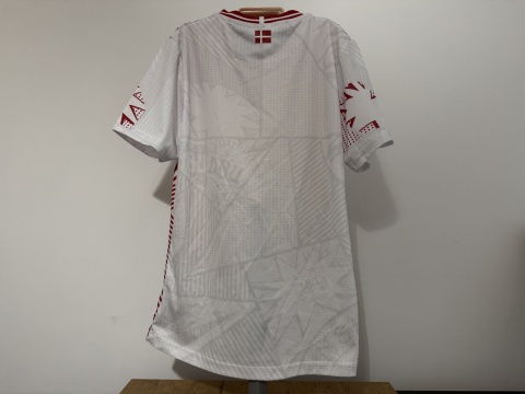 KOSZULKA Dania (reprezentacja) 2023 woman Hummel M