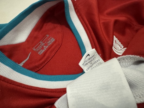 KOSZULKA FC Liverpool (Anglia) 2020/21 home Nike 116