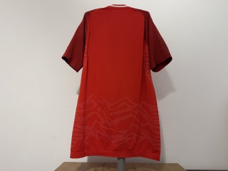 KOSZULKA Austria (reprezentacja) 2018 home Puma L NOWA