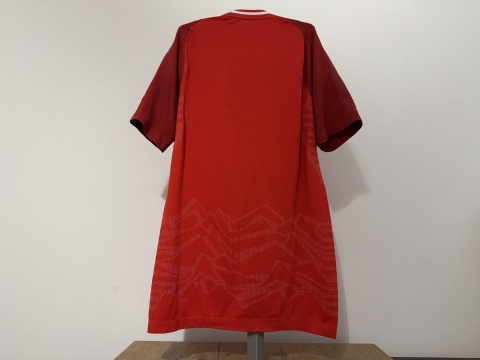 KOSZULKA Austria (reprezentacja) 2018 home Puma L NOWA