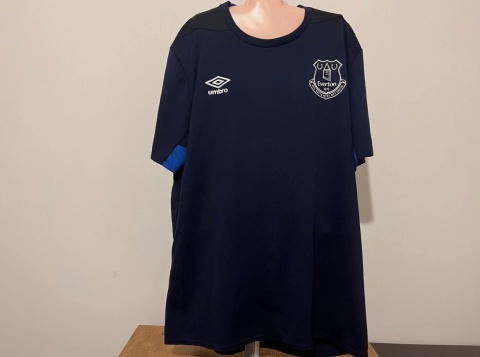 KOSZULKA Everton FC (Anglia) training Umbro L