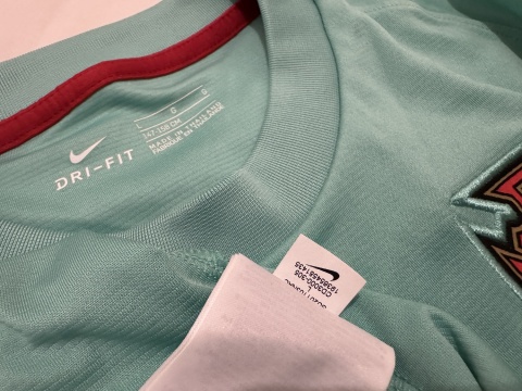 KOSZULKA Portugalia (reprezentacja) 2020 training Nike 152