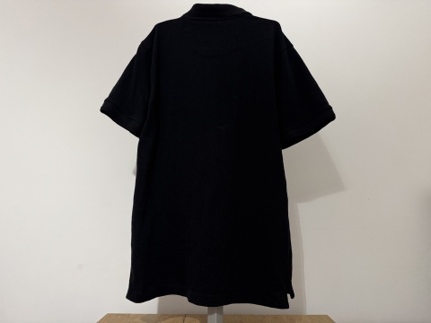 POLO Ruch Chorzów (Polska) Bytom L