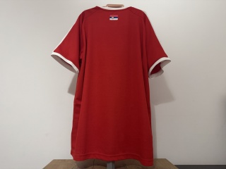 KOSZULKA Serbia (reprezentacja) 2018 home Puma L NOWA