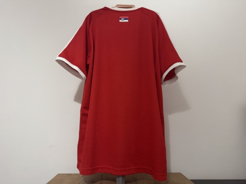 KOSZULKA Serbia (reprezentacja) 2018 home Puma L NOWA