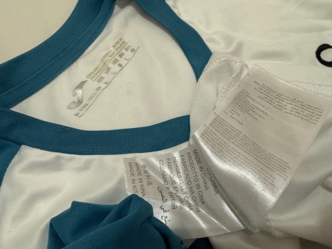 KOSZULKA Swansea City (Anglia) 2017/18 training Joma L