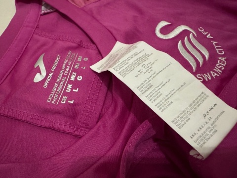 KOSZULKA Swansea City (Anglia) 2019/20 GK Joma L