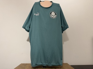 KOSZULKA Palmeiras SE (Brazylia) training Puma XL