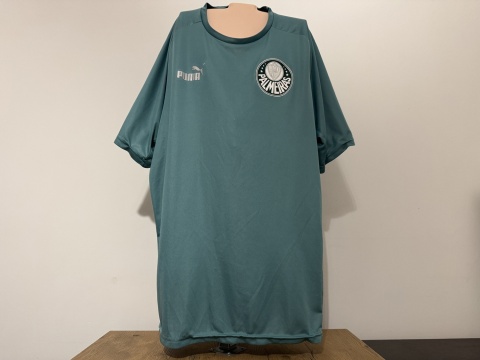 KOSZULKA Palmeiras SE (Brazylia) training Puma XL