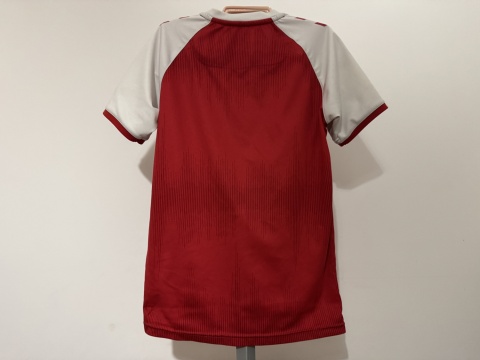 KOSZULKA Dania (reprezentacja) 2020 home Hummel 152