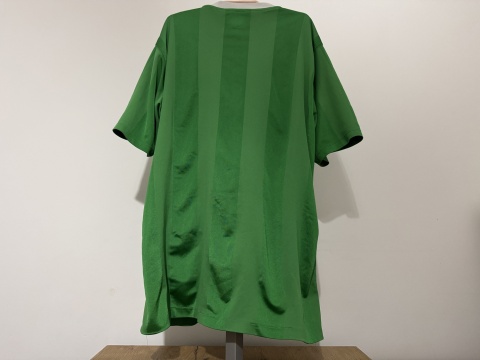 KOSZULKA Irlandia Północna (reprezentacja) 2010 home Umbro M