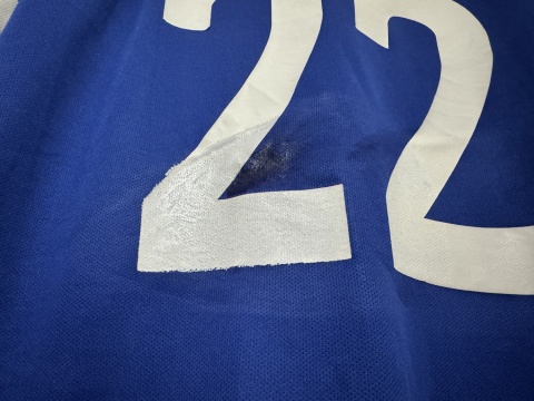 KOSZULKA Islandia (reprezentacja) 2016 home #22 Gudjonsson Errea L