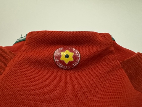 KOSZULKA Walia (reprezentacja) 2022 home Adidas 152