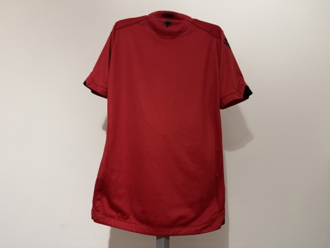 KOSZULKA Albania (reprezentacja) 2016 home Macron 164