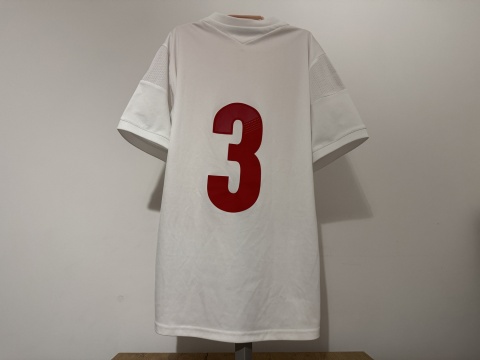 KOSZULKA Dania (reprezentacja) 2015W #3 Adidas L