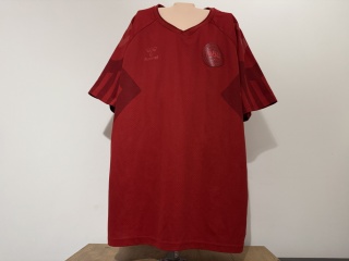 KOSZULKA Dania (reprezentacja) 2022 home Hummel XL