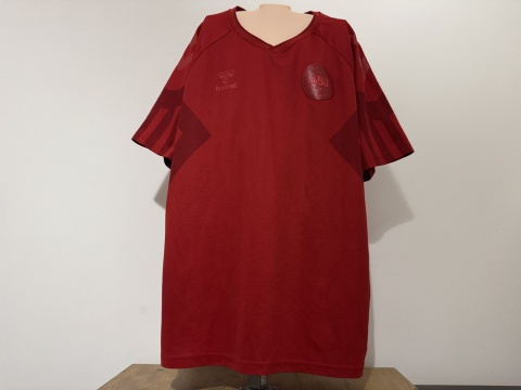 KOSZULKA Dania (reprezentacja) 2022 home Hummel XL