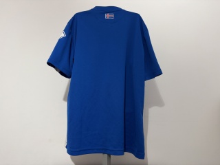 KOSZULKA Islandia (reprezentacja) 2012 home Errea M