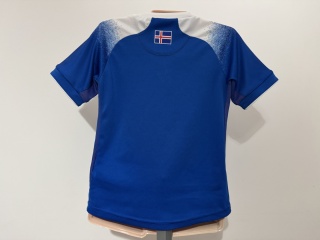 KOSZULKA Islandia (reprezentacja) 2018 home Errea 128