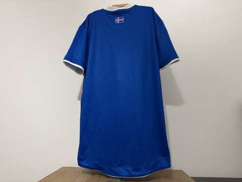 KOSZULKA Islandia (reprezentacja) 2016 home Errea M
