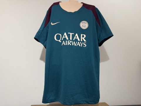 KOSZULKA Paris SG (Francja) 2024/25 training Nike L