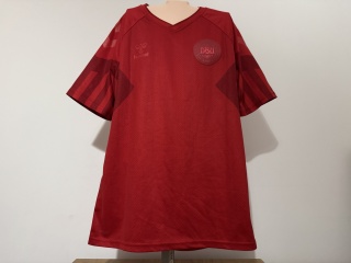 KOSZULKA Dania (reprezentacja) 2022 home Hummel S