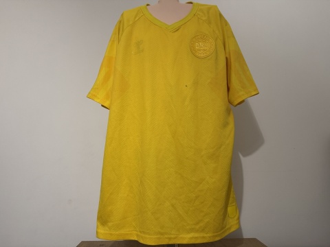 KOSZULKA Dania (reprezentacja) 2022 GK Hummel L